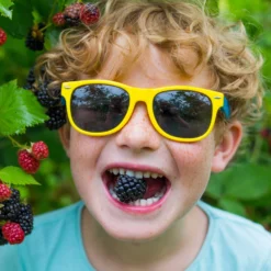 Raintree KIDS! Arapaho Thornless Blackberry