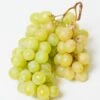 Himrod Seedless Grape -Home Fruit Tree himrod grape