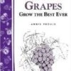Great Grapes -Home Fruit Tree httpraintreenursery.netps180