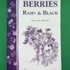 Berries/ Rasp & Black 1 Berries/ Rasp & Black -Home Fruit Tree image a6ef32cc b5e4 4ec3 8840 e53650b82ba5 1