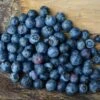 Weymouth Blueberry -Home Fruit Tree product 140228 1654541138 BLB107 3