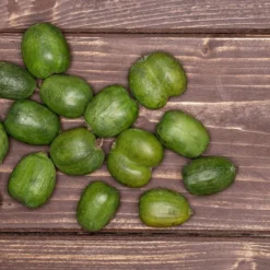 Chang Bai Hardy Kiwi